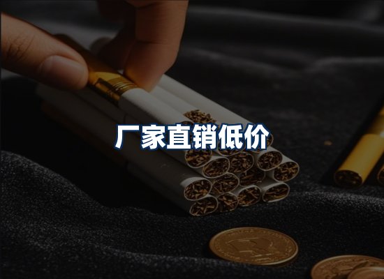专业团队办公环境